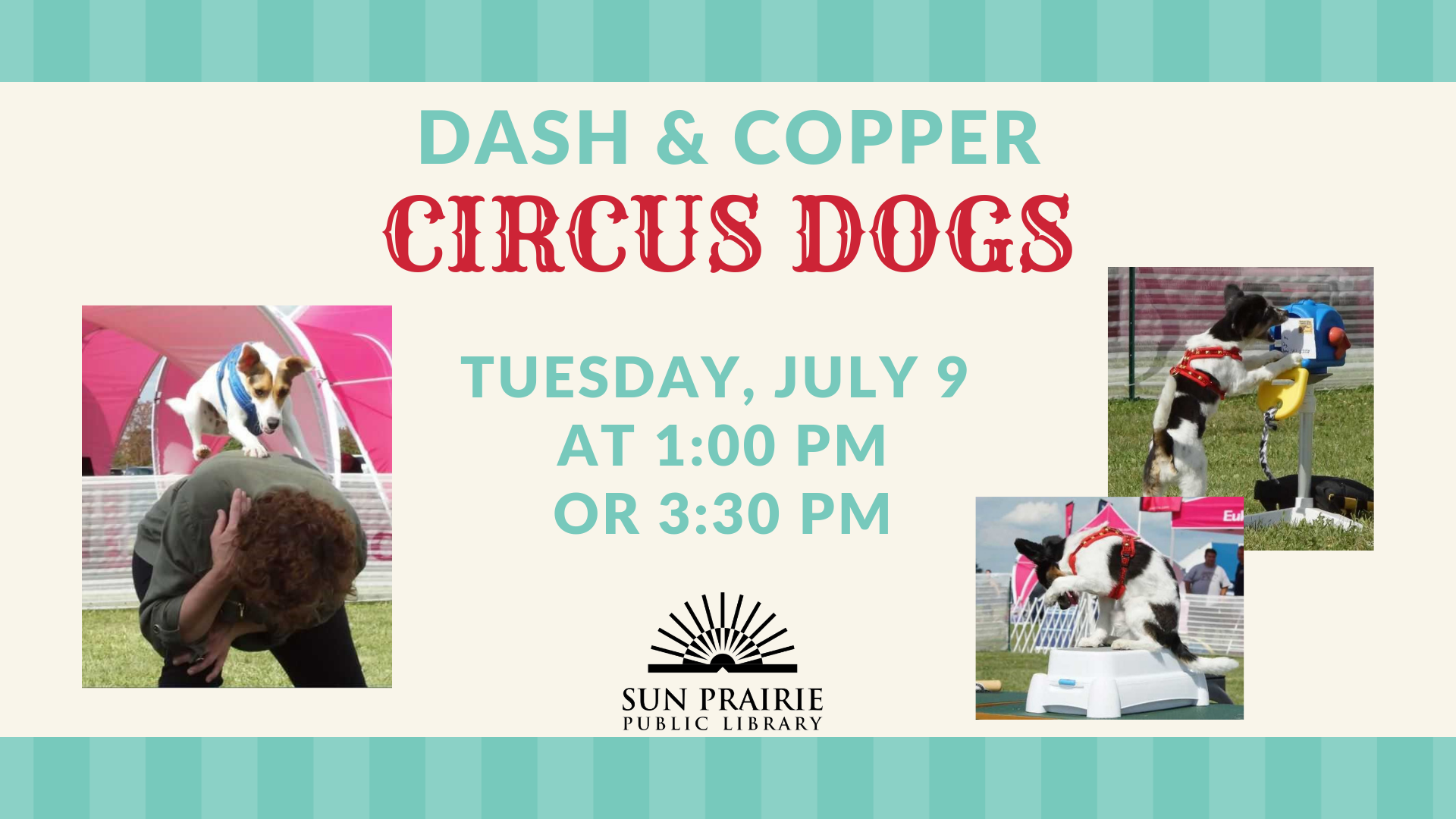 Circus Dogs, Dash & Copper with time and date of event