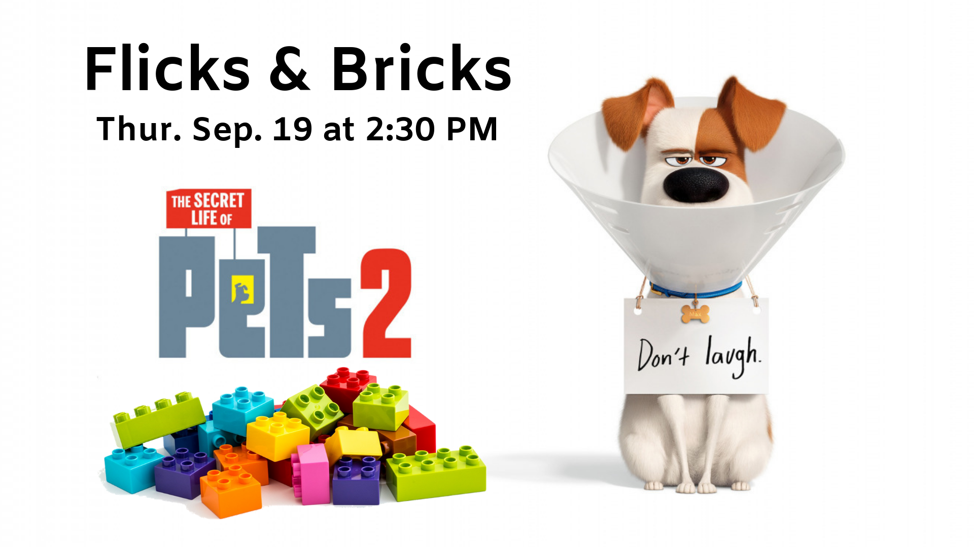 Flicks & Bricks: Pets 2