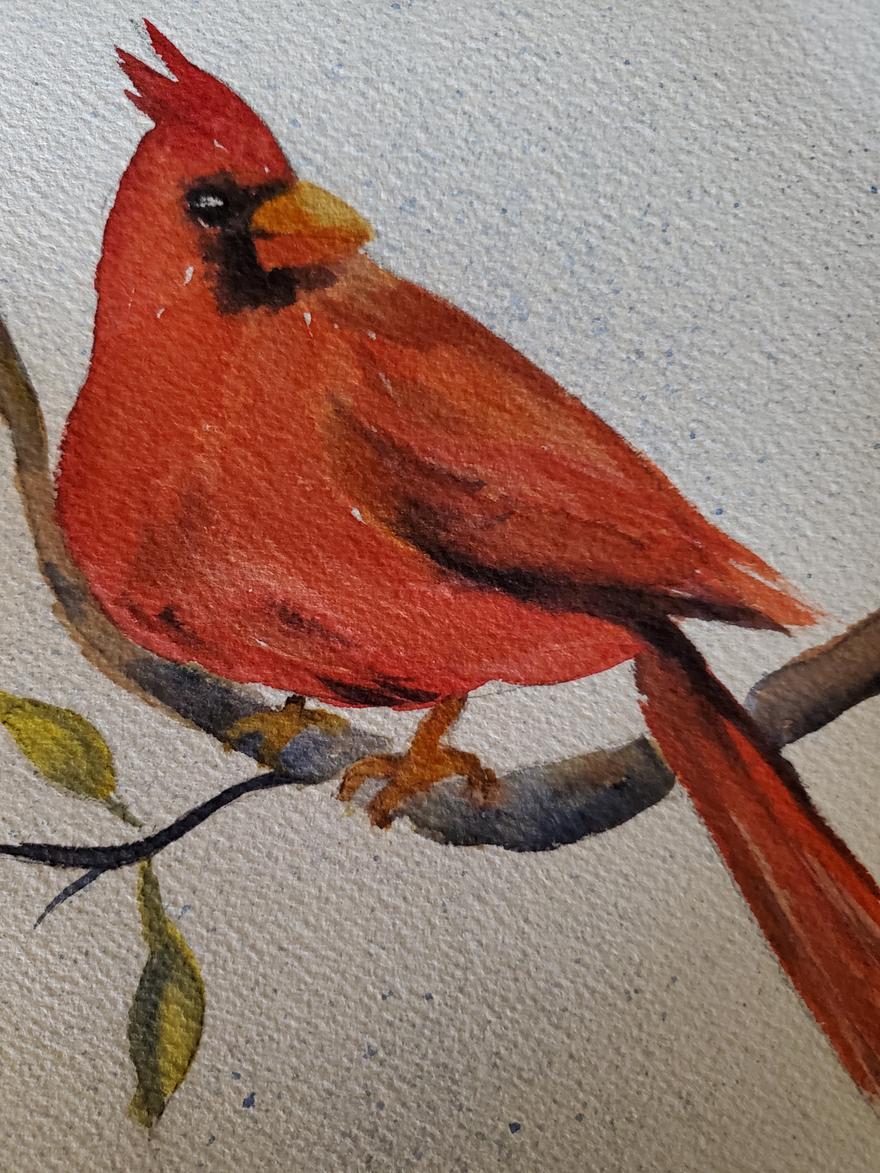 watercolor cardinal
