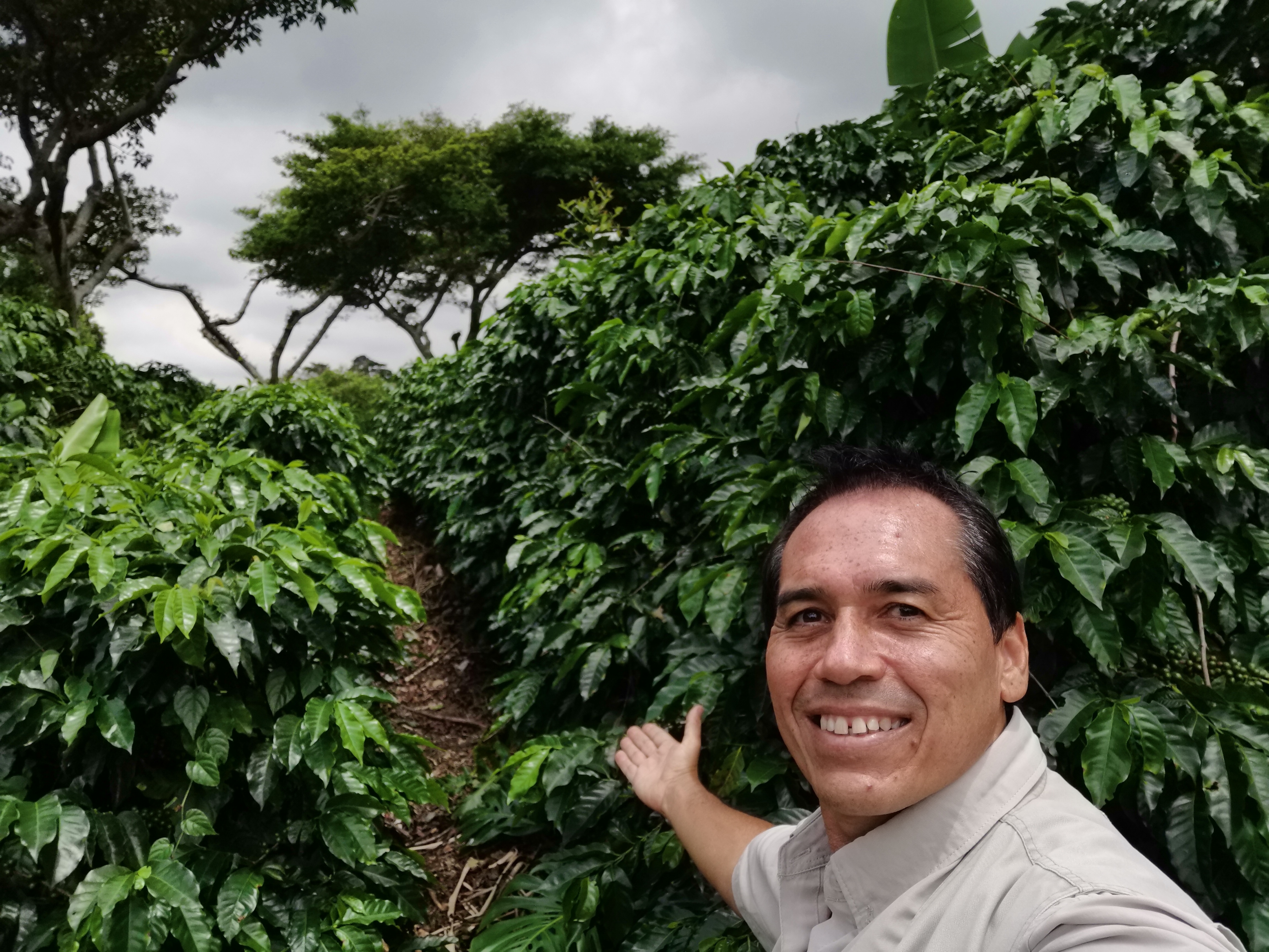 Alejandro Cano at coffee farm