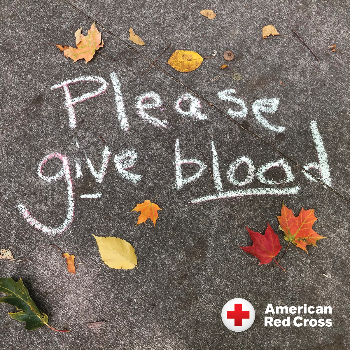 Please give blood autumn image