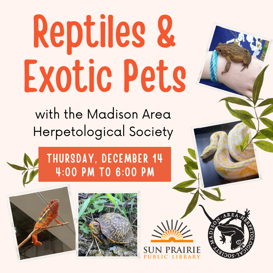 Reptiles and Exotic Pets with the Madison Area Herpetological Society. Thursday, December 14 from 4:00 to 6:00 PM. Images of a frog, snake, turtle, and chameleon. 