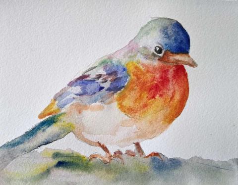 watercolor bird