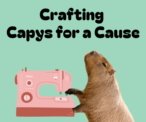 Text reads "Crafting Capys for a Cause" on a teal background. It shows an image of a real capybara sewing on a graphic of a pink sewing machine.