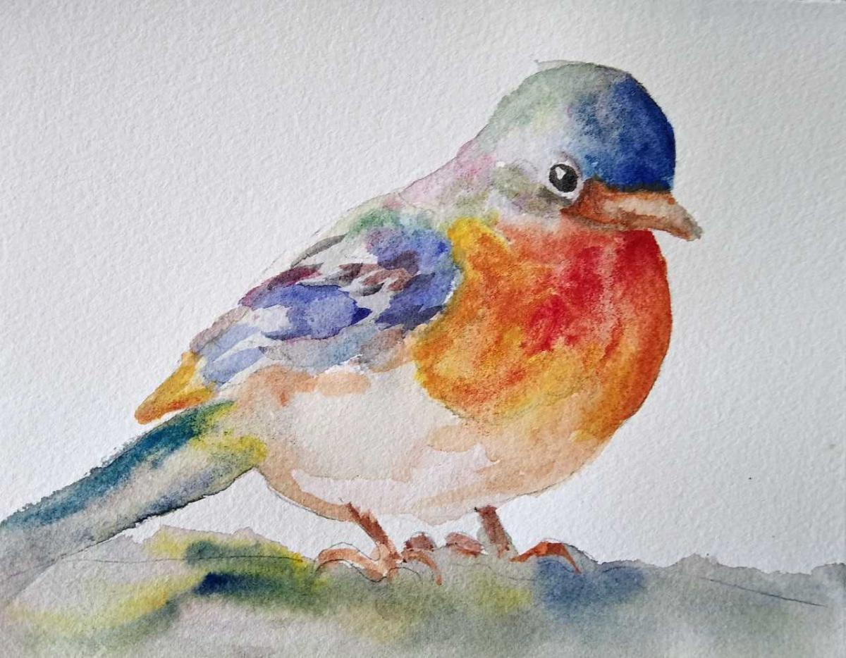 watercolor bird