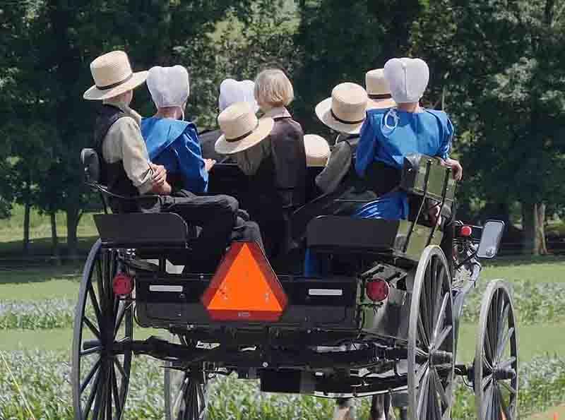 Amish buggy